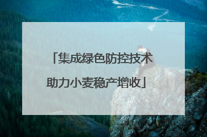 集成绿色防控技术助力小麦稳产增收