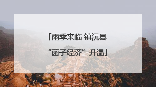 雨季来临 镇沅县“菌子经济”升温