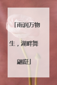雨润万物生，湖畔舞翩跹
