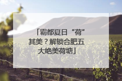 霸都夏日“荷”其美？解锁合肥五大绝美荷塘