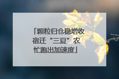 颗粒归仓稳增收 宿迁“三夏”农忙跑出加速度