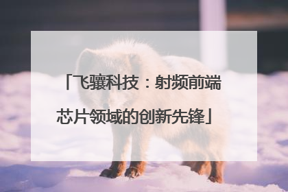 飞骧科技：射频前端芯片领域的创新先锋