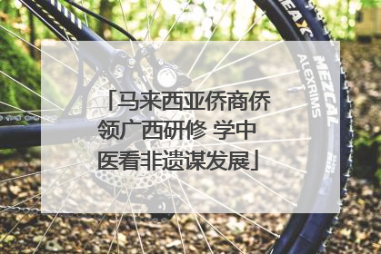 马来西亚侨商侨领广西研修 学中医看非遗谋发展