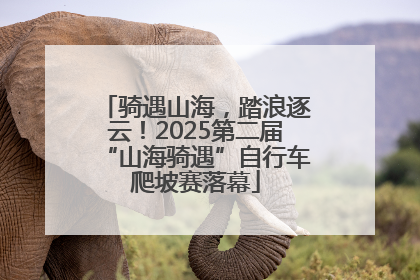 骑遇山海，踏浪逐云！2025第二届“山海骑遇”自行车爬坡赛落幕