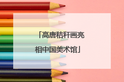 高唐秸秆画亮相中国美术馆