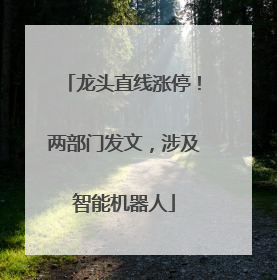 龙头直线涨停！两部门发文，涉及智能机器人