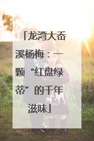 龙湾大岙溪杨梅：一颗“红盘绿蒂”的千年滋味