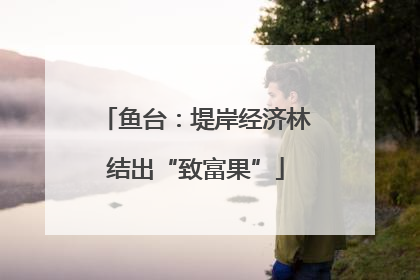 鱼台：堤岸经济林结出“致富果”
