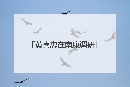 黄喜忠在南康调研