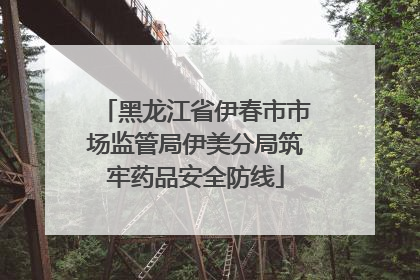 黑龙江省伊春市市场监管局伊美分局筑牢药品安全防线