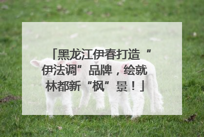 黑龙江伊春打造“伊法调”品牌，绘就林都新“枫”景！