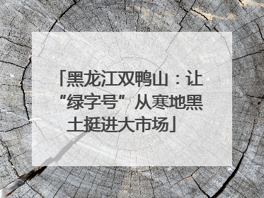 黑龙江双鸭山：让“绿字号”从寒地黑土挺进大市场
