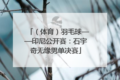 （体育）羽毛球——印尼公开赛：石宇奇无缘男单决赛