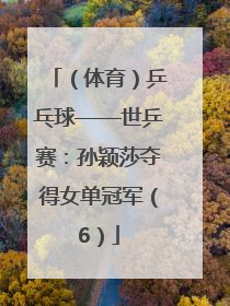 （体育）乒乓球——世乒赛：孙颖莎夺得女单冠军（6）