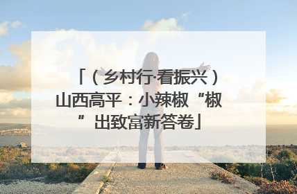 （乡村行·看振兴）山西高平：小辣椒“椒”出致富新答卷