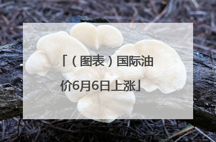 （图表）国际油价6月6日上涨
