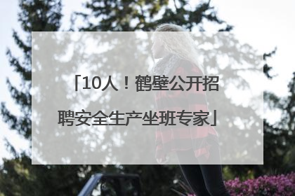 10人！鹤壁公开招聘安全生产坐班专家