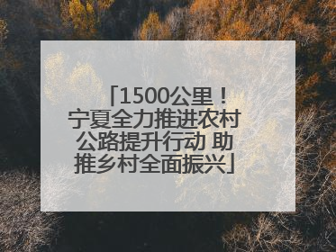 1500公里！宁夏全力推进农村公路提升行动 助推乡村全面振兴