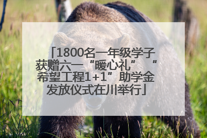 1800名一年级学子获赠六一“暖心礼” “希望工程1+1”助学金发放仪式在川举行