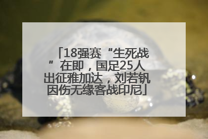18强赛“生死战”在即，国足25人出征雅加达，刘若钒因伤无缘客战印尼