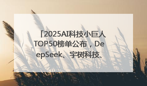 2025AI科技小巨人TOP50榜单公布，DeepSeek、宇树科技、蘑菇车联等企业荣誉上榜