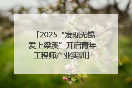 2025“发现无锡 爱上梁溪”开启青年工程师产业实训