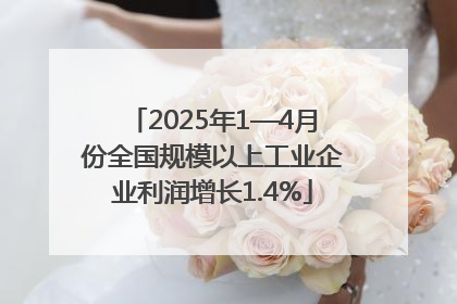 2025年1—4月份全国规模以上工业企业利润增长1.4%