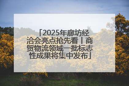 2025年廊坊经洽会亮点抢先看丨商贸物流领域一批标志性成果将集中发布