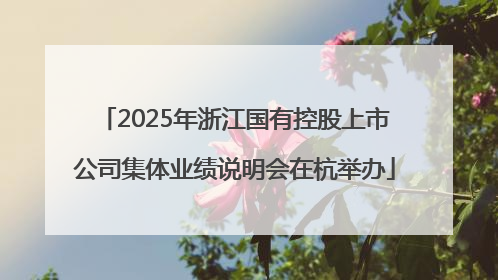 2025年浙江国有控股上市公司集体业绩说明会在杭举办