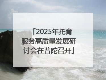 2025年托育服务高质量发展研讨会在普陀召开
