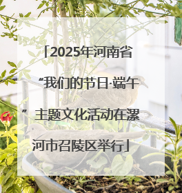 2025年河南省“我们的节日·端午”主题文化活动在漯河市召陵区举行