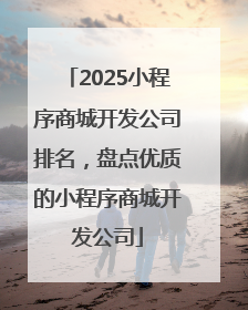 2025小程序商城开发公司排名，盘点优质的小程序商城开发公司