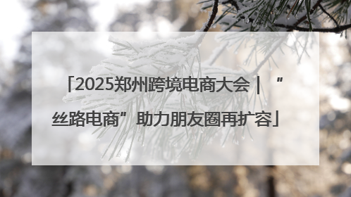 2025郑州跨境电商大会｜“丝路电商”助力朋友圈再扩容