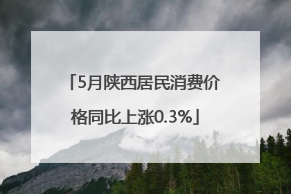 5月陕西居民消费价格同比上涨0.3%