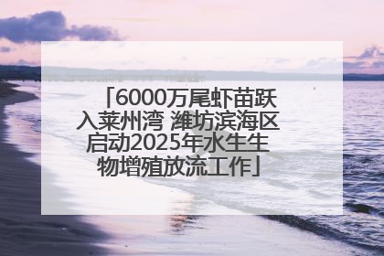 6000万尾虾苗跃入莱州湾 潍坊滨海区启动2025年水生生物增殖放流工作