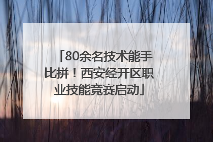 80余名技术能手比拼！西安经开区职业技能竞赛启动
