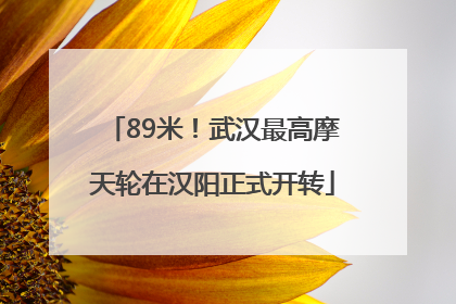 89米！武汉最高摩天轮在汉阳正式开转