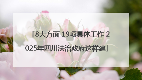 8大方面 19项具体工作 2025年四川法治政府这样建