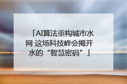 AI算法重构城市水网 这场科技峰会揭开水的“智慧密码”