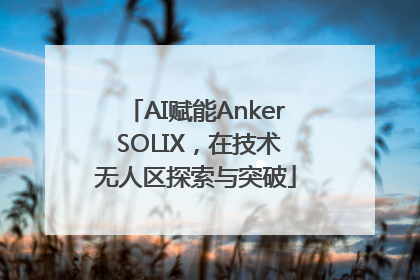 AI赋能Anker SOLIX，在技术无人区探索与突破