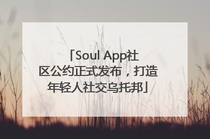 Soul App社区公约正式发布，打造年轻人社交乌托邦